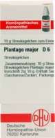 PLANTAGO MAJOR D 6 Globuli