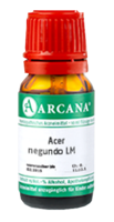 ACER negundo LM 45 Dilution